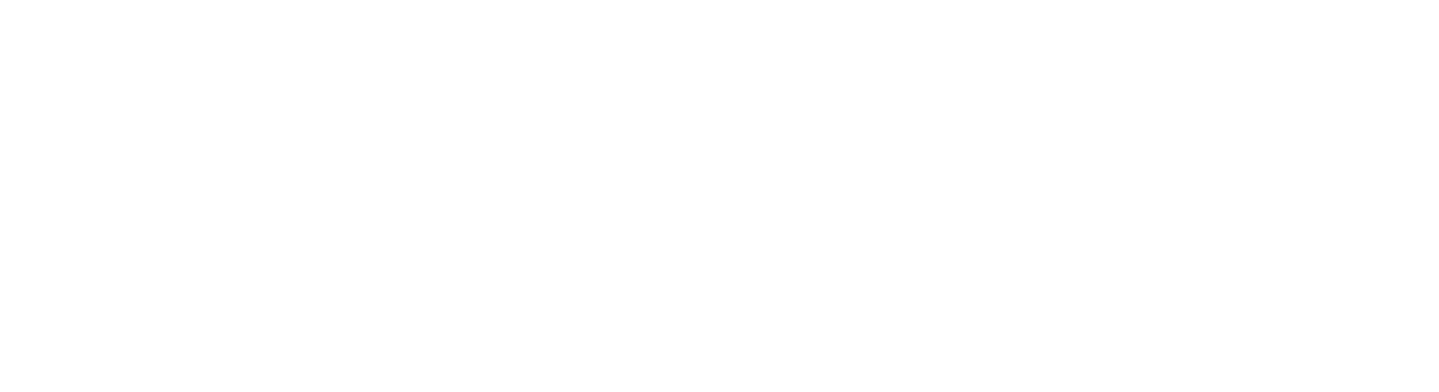 bialy-HOMAPAL-LOGO-EXTENDED-BLUE